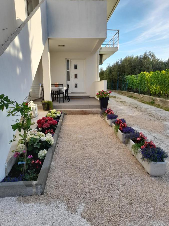 Apartmani Sara Бибине Екстериор снимка